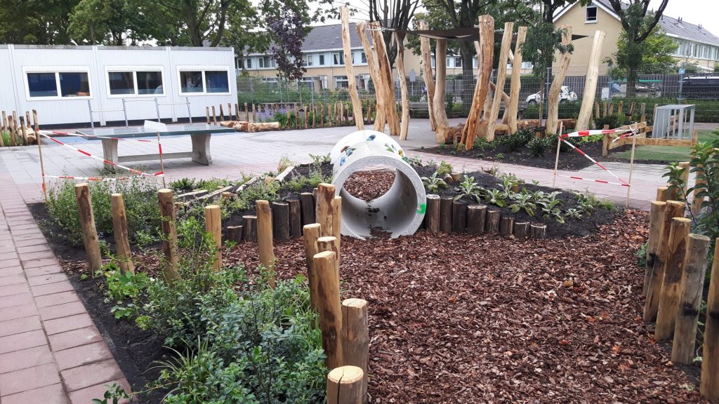 Moestuin 3